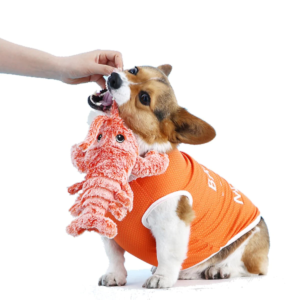 Floppy lobster interactive dog toy