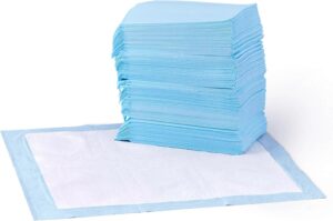 Basics Dog and Puppy Pee Pads, 5-Layer Leak-Proof Super Absorbent, Quick-Dry Surface, Potty Training, Regular (22x22"), 100 Count, Blue & White
